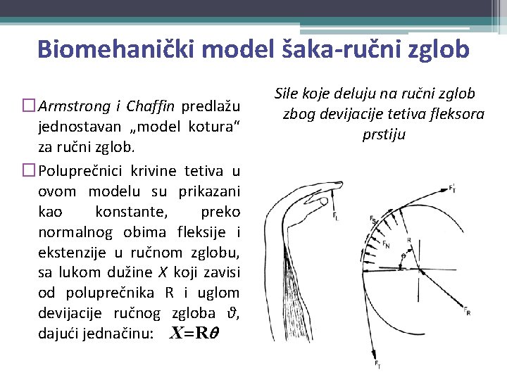 Biomehanički model šaka-ručni zglob �Armstrong i Chaffin predlažu jednostavan „model kotura“ za ručni zglob.