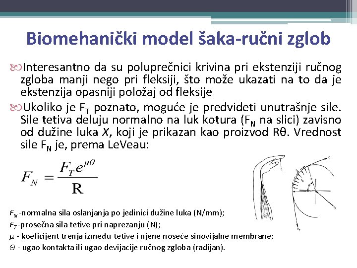 Biomehanički model šaka-ručni zglob Interesantno da su poluprečnici krivina pri ekstenziji ručnog zgloba manji