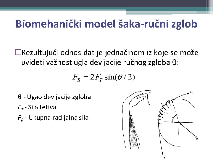 Biomehanički model šaka-ručni zglob �Rezultujući odnos dat je jednačinom iz koje se može uvideti