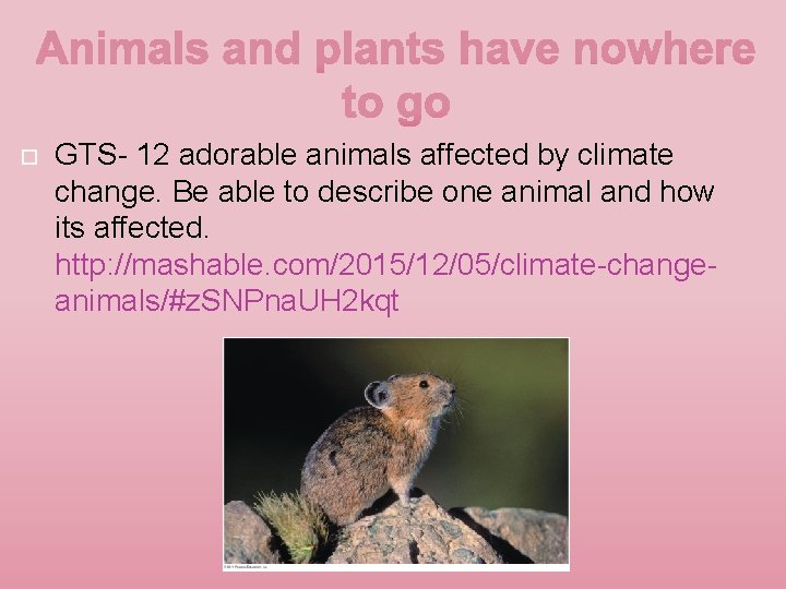  GTS- 12 adorable animals affected by climate change. Be able to describe one