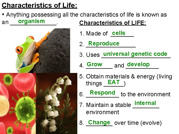 Characteristics of Life: • Anything possessing all the characteristics of life is known as