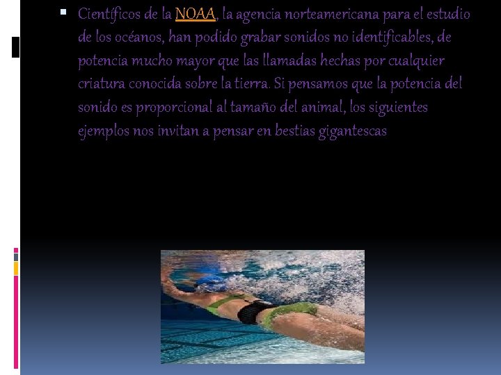  Científicos de la NOAA, la agencia norteamericana para el estudio de los océanos,