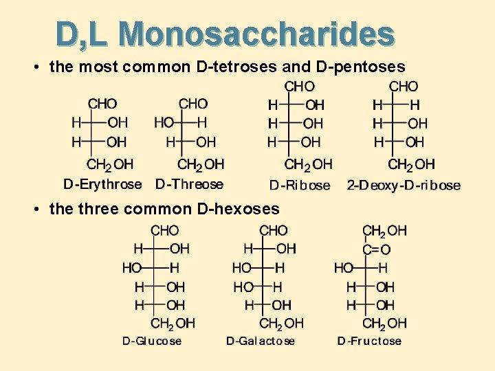 D, L Monosaccharides • the most common D-tetroses and D-pentoses • the three common