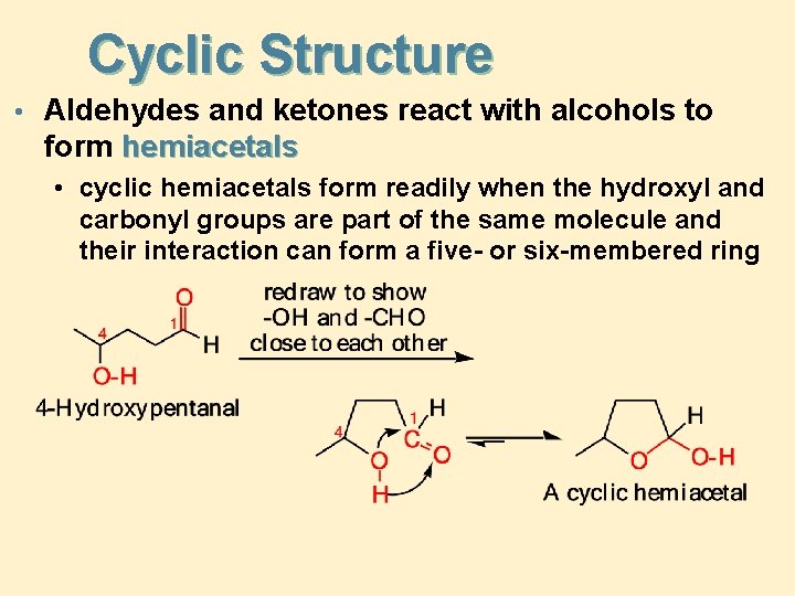 Cyclic Structure • Aldehydes and ketones react with alcohols to form hemiacetals • cyclic