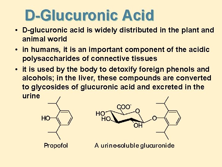 D-Glucuronic Acid • D-glucuronic acid is widely distributed in the plant and animal world