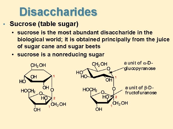 Disaccharides • Sucrose (table sugar) • sucrose is the most abundant disaccharide in the