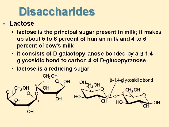 Disaccharides • Lactose • lactose is the principal sugar present in milk; it makes