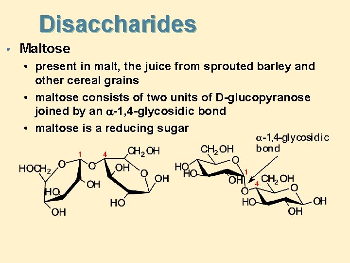 Disaccharides • Maltose • present in malt, the juice from sprouted barley and other