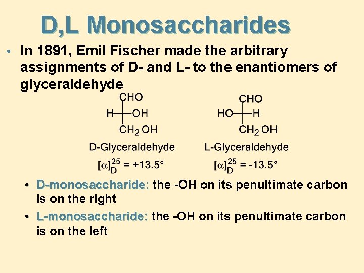 D, L Monosaccharides • In 1891, Emil Fischer made the arbitrary assignments of D-