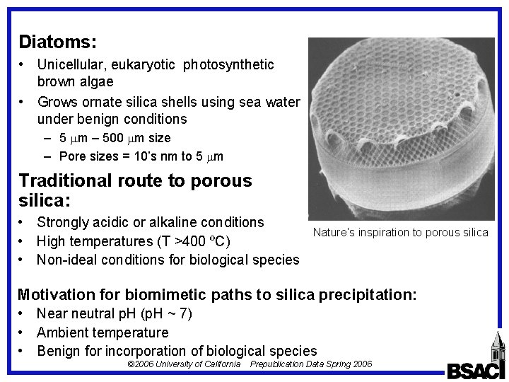 Diatoms: • Unicellular, eukaryotic photosynthetic brown algae • Grows ornate silica shells using sea