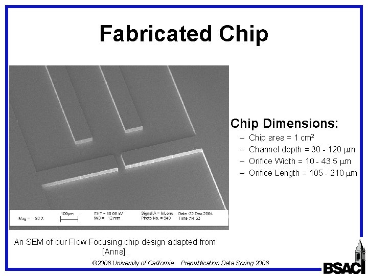 Fabricated Chip Dimensions: – – Chip area = 1 cm 2 Channel depth =