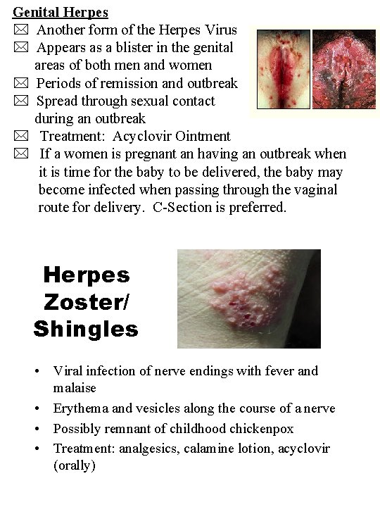 Genital Herpes Another form of the Herpes Virus Appears as a blister in the