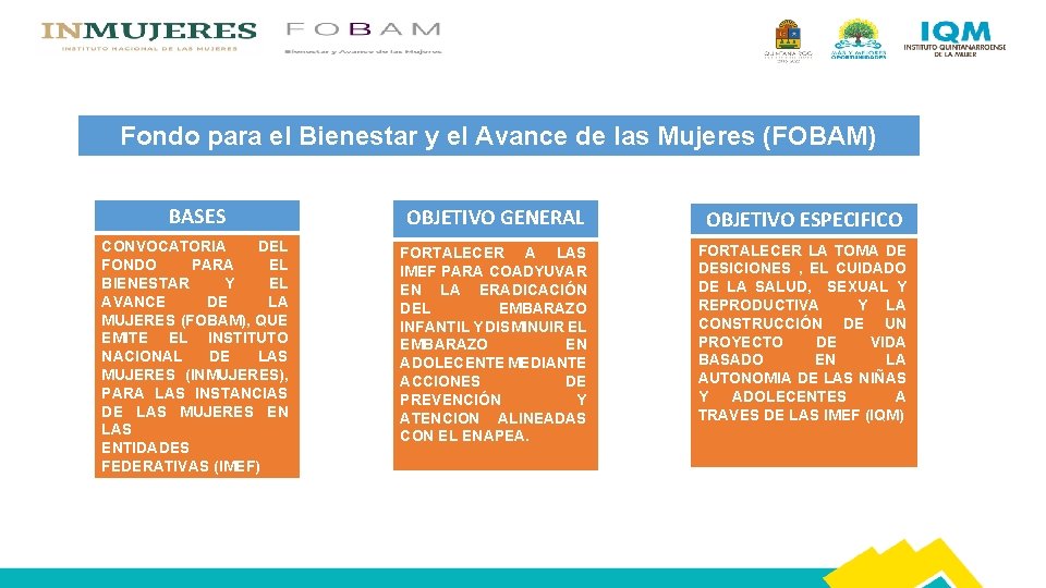 COMIT DE VIGILANCIA Fondo para el Bienestar y