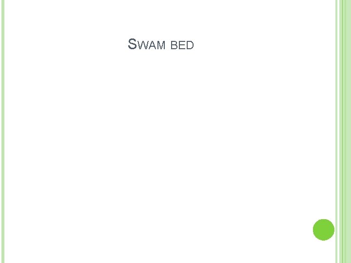 SWAM BED 