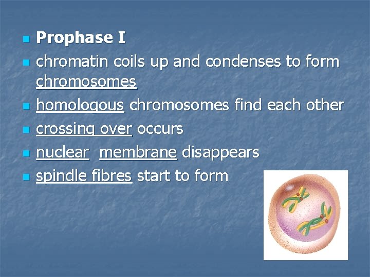 Steps of Meiosis https www youtube comwatch vD