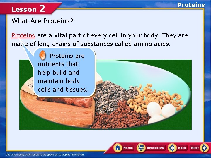 Lesson 2 Proteins What Are Proteins? Proteins are a vital part of every cell