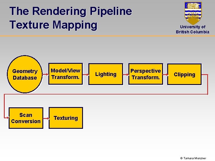 The Rendering Pipeline Texture Mapping Geometry Database Model/View Transform. Scan Conversion Texturing Lighting Perspective