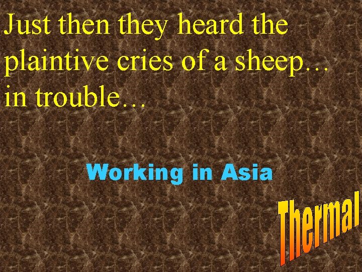 Just then they heard the plaintive cries of a sheep… in trouble… Working in