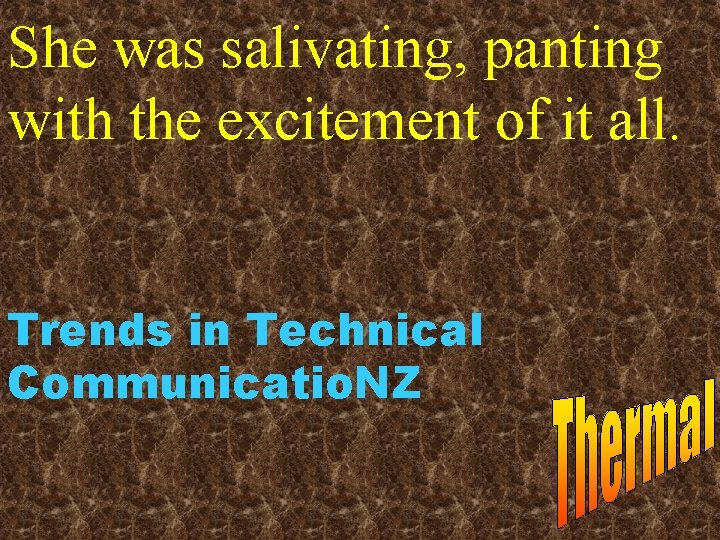 She was salivating, panting with the excitement of it all. Trends in Technical Communicatio.