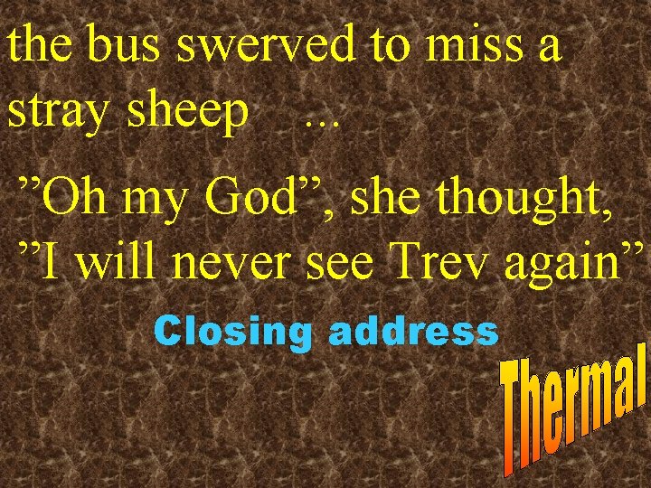 the bus swerved to miss a stray sheep. . . ”Oh my God”, she