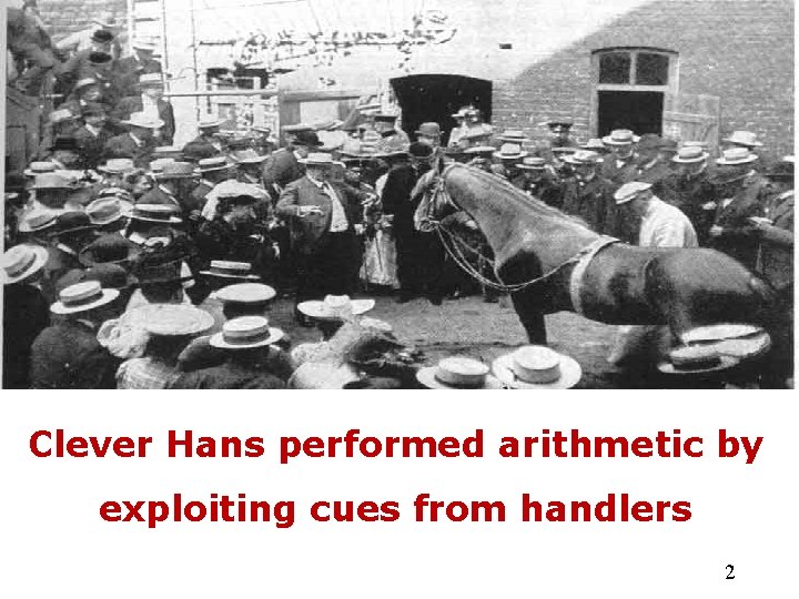 Clever Hans performed arithmetic by exploiting cues from handlers 2 