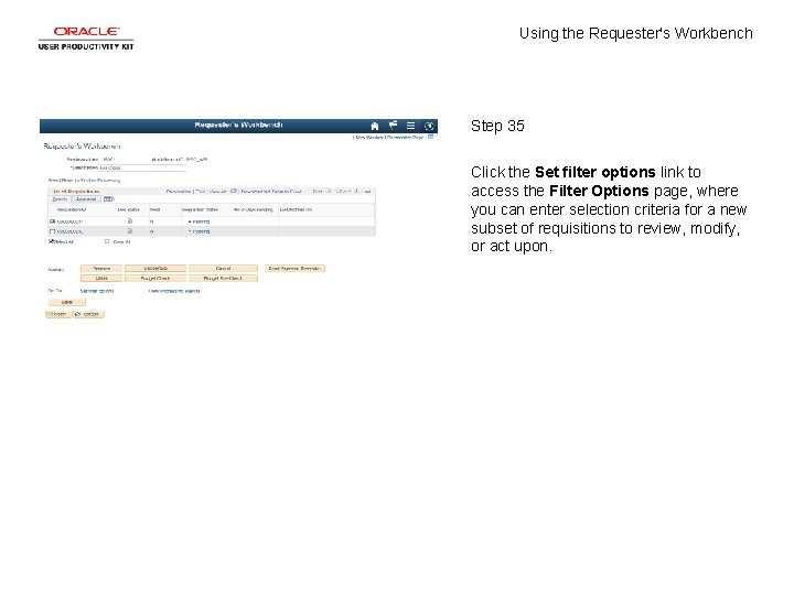 Using the Requester's Workbench Step 35 Click the Set filter options link to access