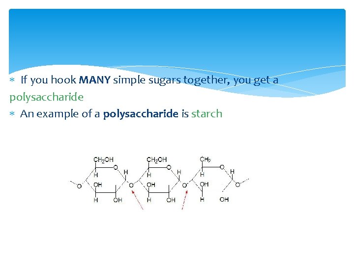  If you hook MANY simple sugars together, you get a polysaccharide An example