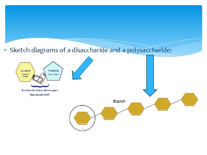  Sketch diagrams of a disaccharide and a polysaccharide: 