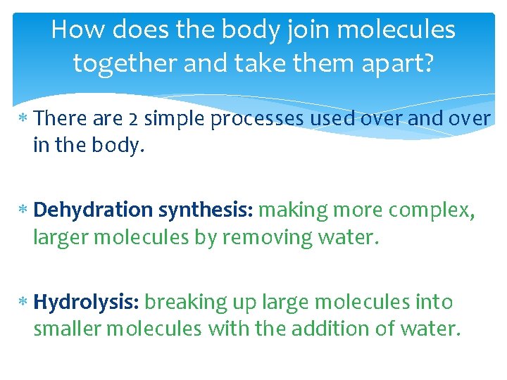 How does the body join molecules together and take them apart? There are 2