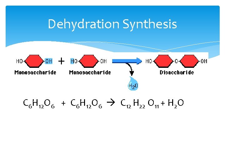 Dehydration Synthesis C 6 C C 6 H 12 O 6 + C 6