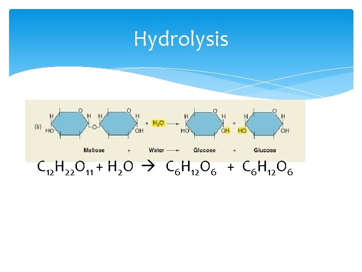 Hydrolysis C 12 H 22 O 11 + H 2 O C 6 H