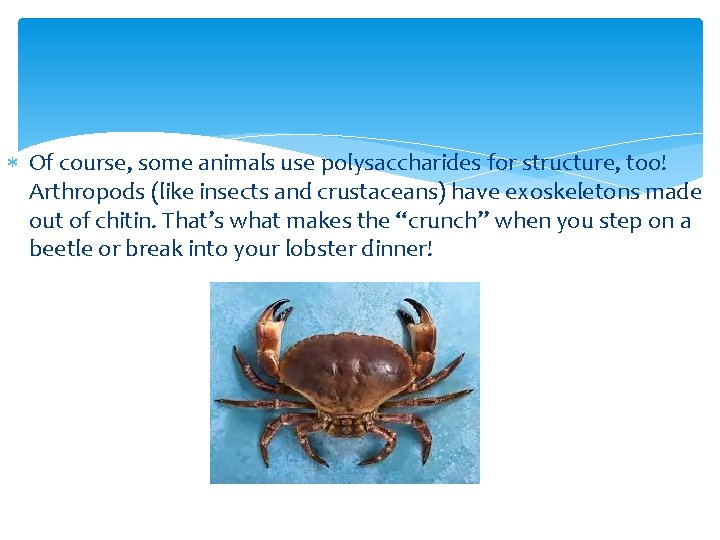  Of course, some animals use polysaccharides for structure, too! Arthropods (like insects and
