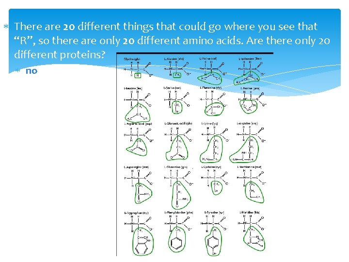  There are 20 different things that could go where you see that “R”,