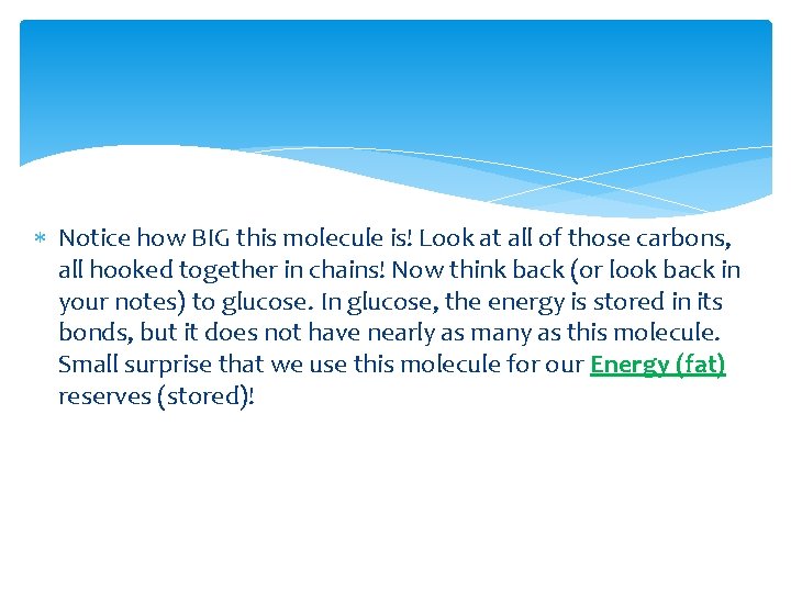  Notice how BIG this molecule is! Look at all of those carbons, all