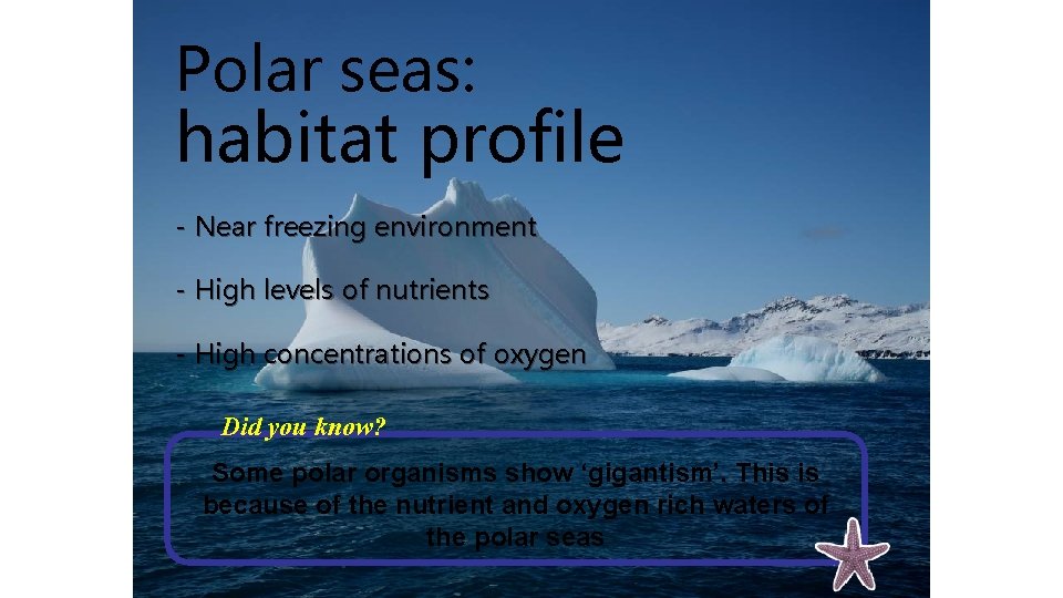 Polar seas: habitat profile - Near freezing environment - High levels of nutrients -