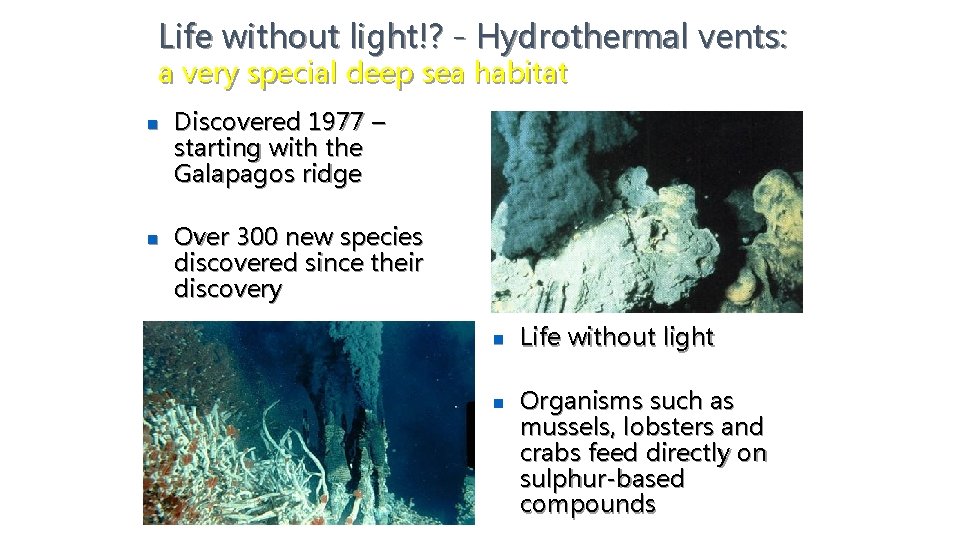 Life without light!? - Hydrothermal vents: a very special deep sea habitat n n