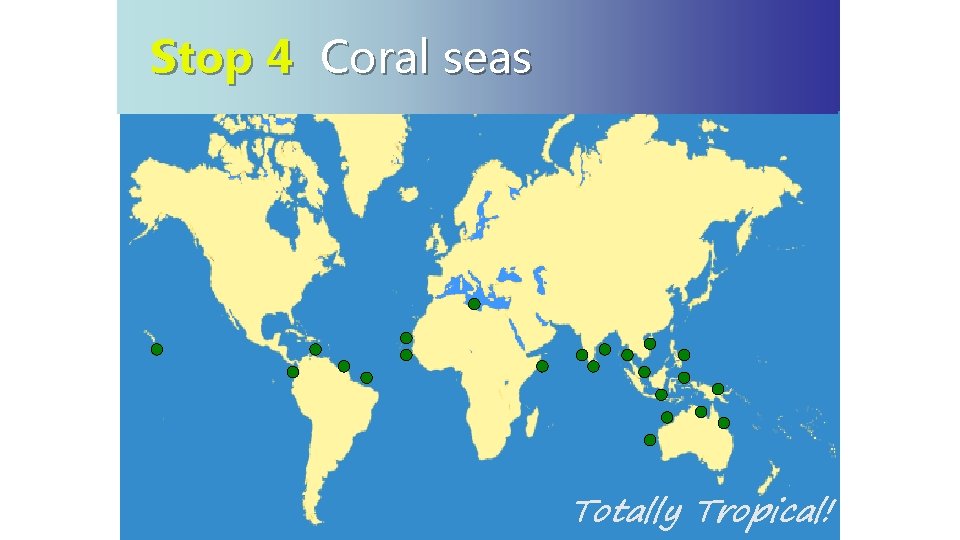 Stop 4 Coral seas Coral Reef Habitat Distribution Totally Tropical! 