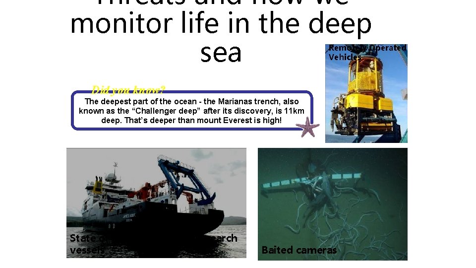 Threats and how we monitor life in the deep sea Remotely Operated Vehicles Did