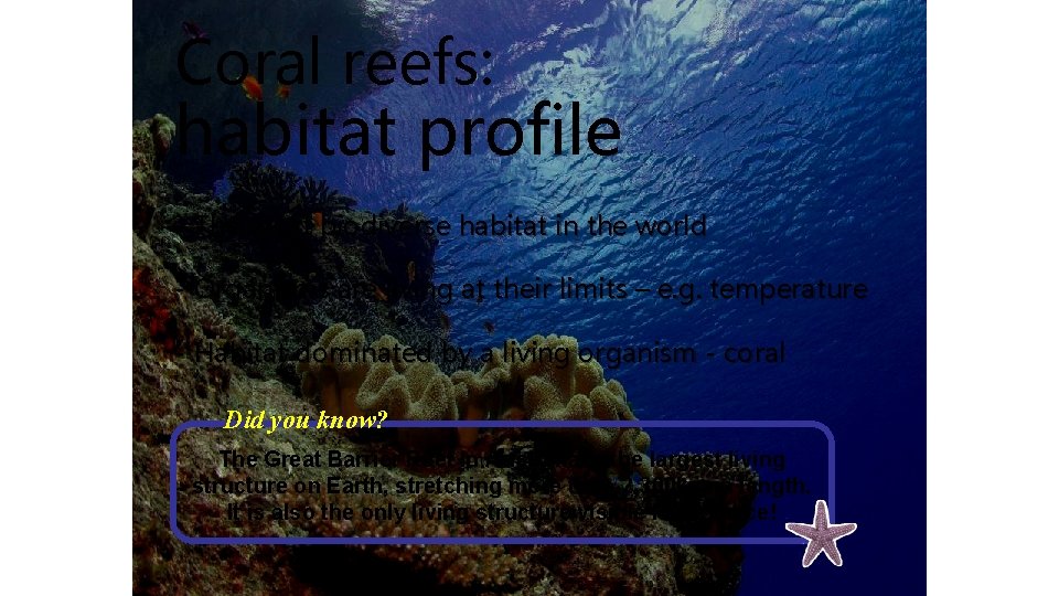 Coral reefs: habitat profile - The most biodiverse habitat in the world - Organisms