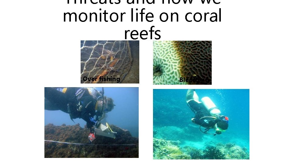 Threats and how we monitor life on coral reefs Over fishing Bleaching 