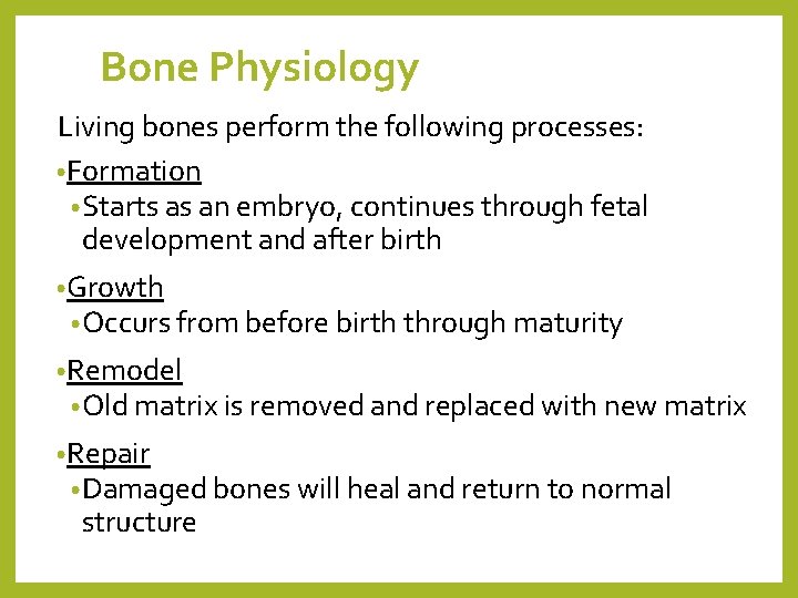 Bone Physiology Living bones perform the following processes: • Formation • Starts as an