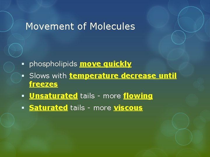 Movement of Molecules § phospholipids move quickly § Slows with temperature decrease until freezes