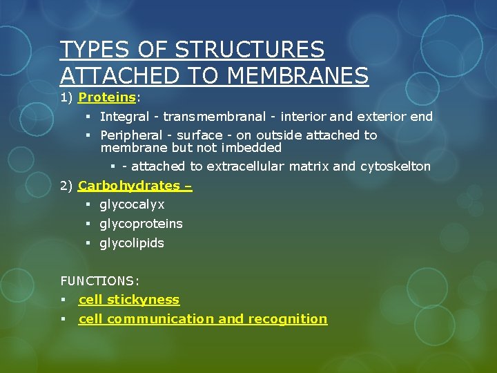 TYPES OF STRUCTURES ATTACHED TO MEMBRANES 1) Proteins: § Integral - transmembranal - interior
