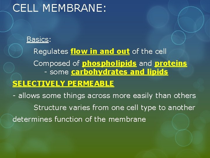 CELL MEMBRANE: Basics: Regulates flow in and out of the cell Composed of phospholipids