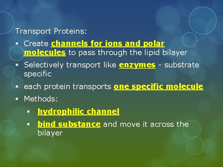 Transport Proteins: § Create channels for ions and polar molecules to pass through the