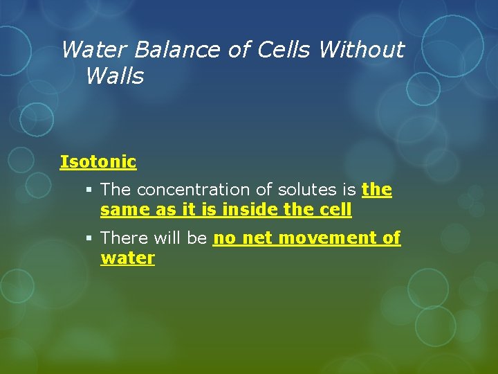 Water Balance of Cells Without Walls Isotonic § The concentration of solutes is the