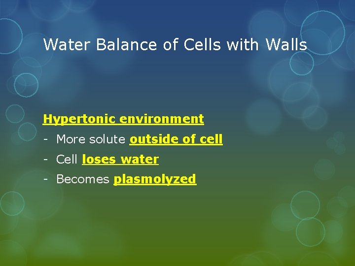 Water Balance of Cells with Walls Hypertonic environment - More solute outside of cell