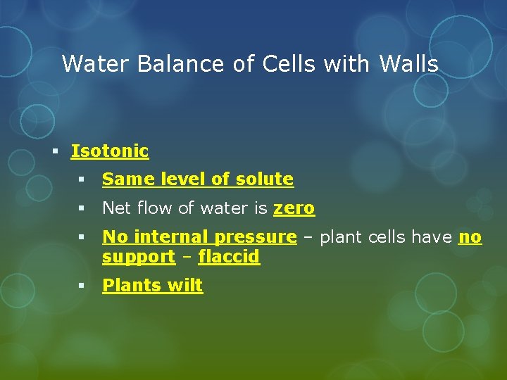 Water Balance of Cells with Walls § Isotonic § Same level of solute §