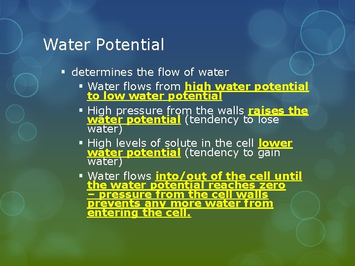 Water Potential § determines the flow of water § Water flows from high water