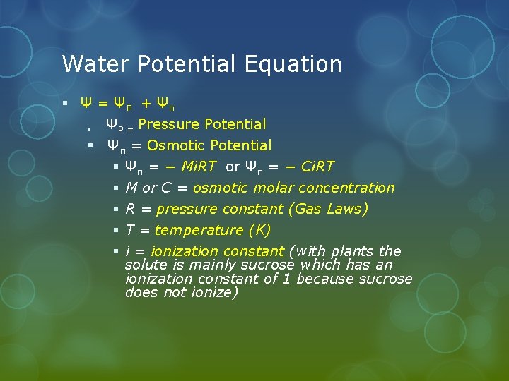 Water Potential Equation § Ψ = ΨP + Ψπ ΨP = Pressure Potential §